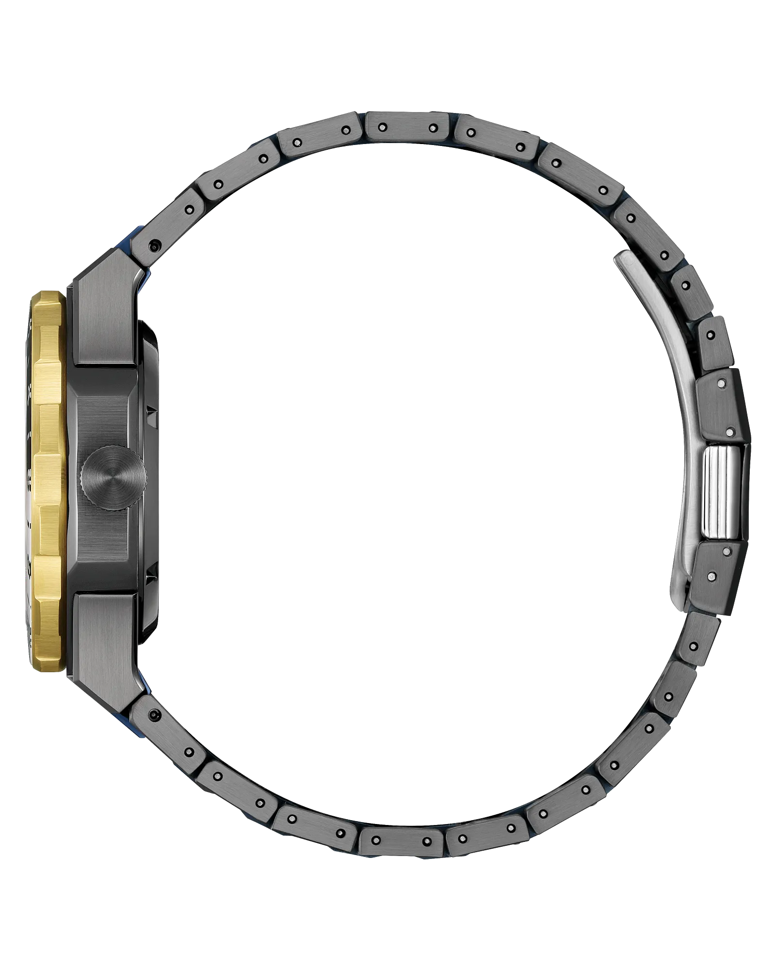 Citizen Series 8 880 GMT "Winter" Limited Edition | Mecánico 41mm